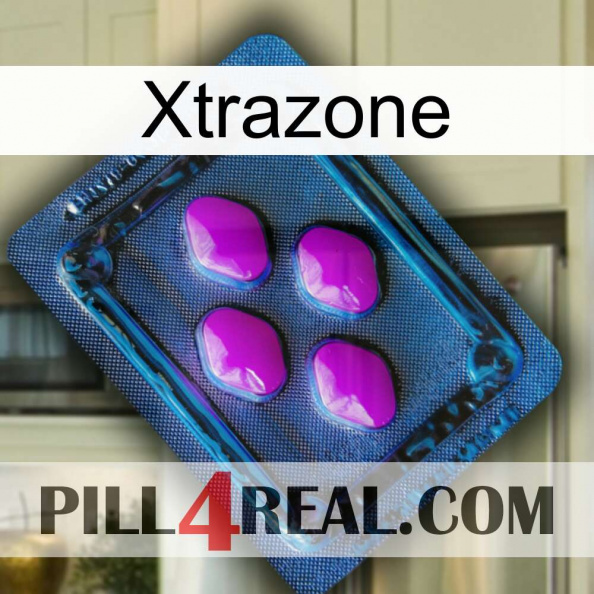 Xtrazone 04.jpg